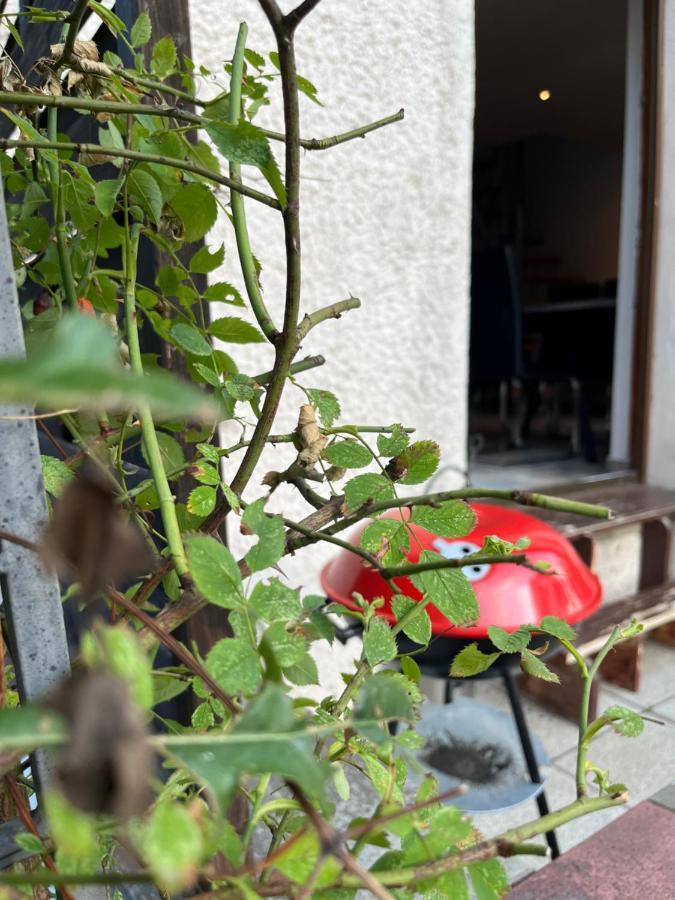 Alpina Haus Appartement Oberammergau Buitenkant foto